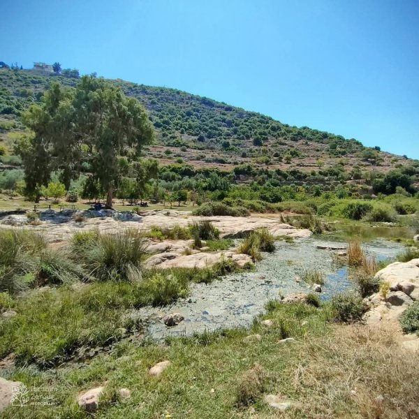  | موسوعة القرى الفلسطينية