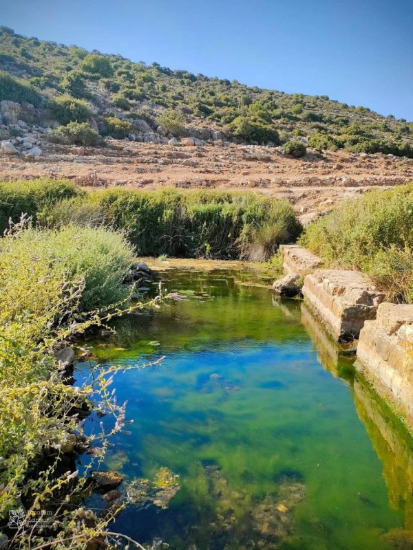  | موسوعة القرى الفلسطينية