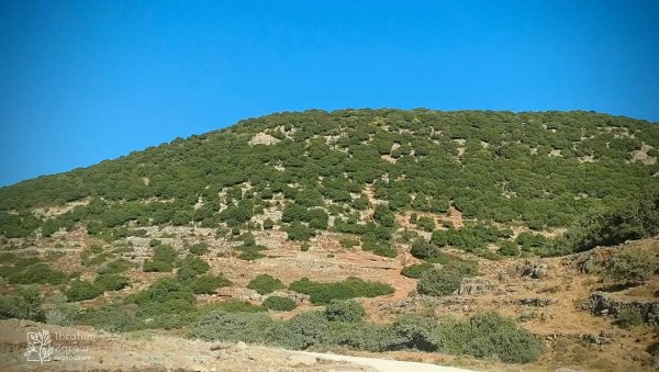  | موسوعة القرى الفلسطينية