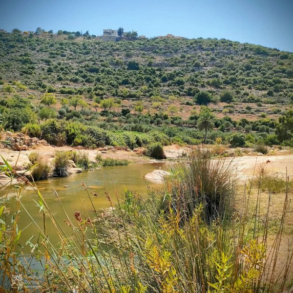  | موسوعة القرى الفلسطينية