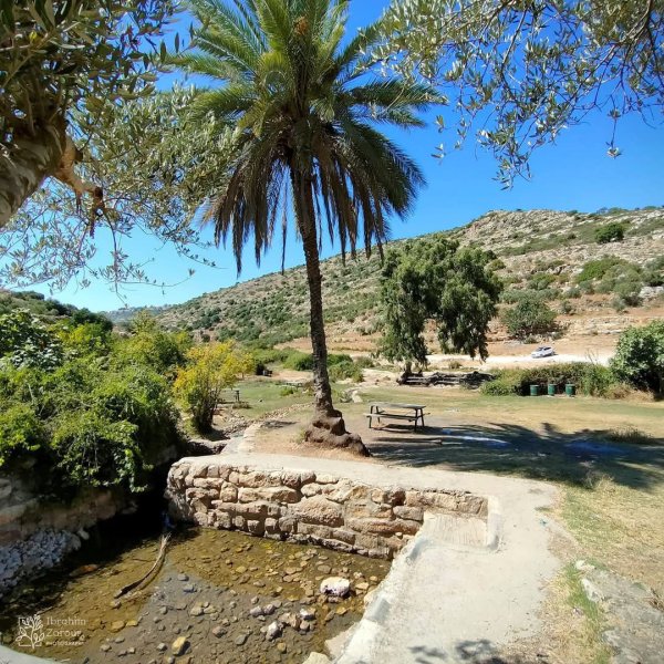  | موسوعة القرى الفلسطينية