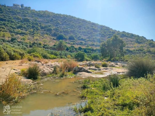  | موسوعة القرى الفلسطينية