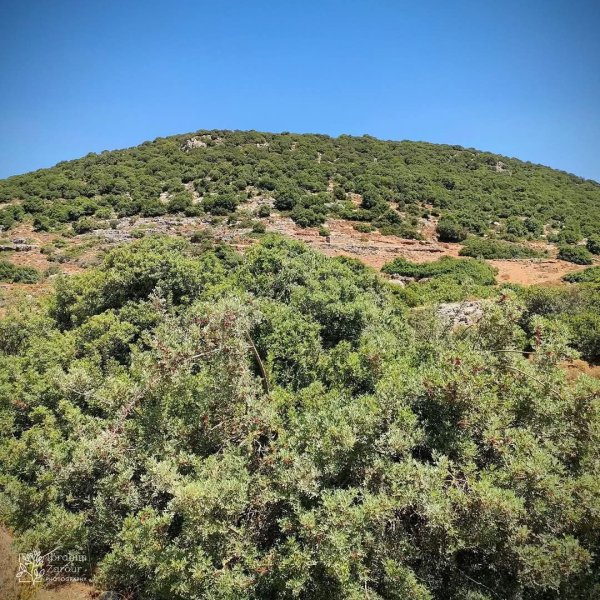  | موسوعة القرى الفلسطينية