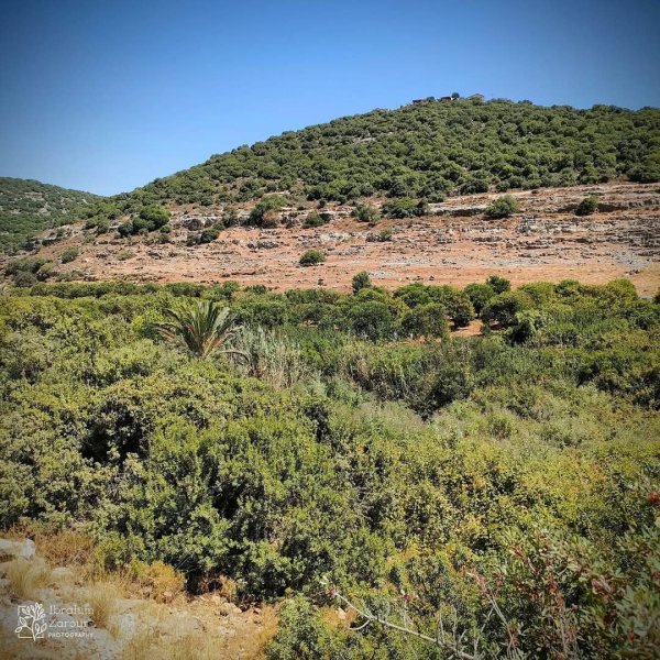  | موسوعة القرى الفلسطينية