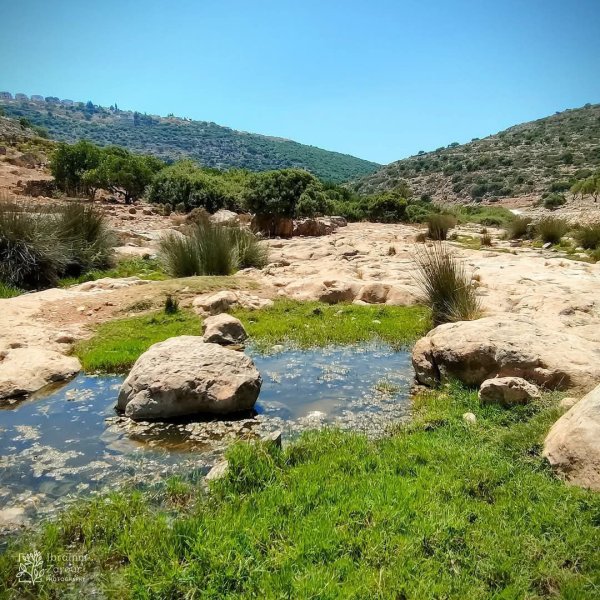  | موسوعة القرى الفلسطينية