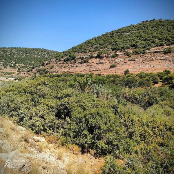  | موسوعة القرى الفلسطينية