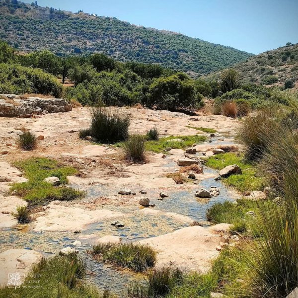  | موسوعة القرى الفلسطينية