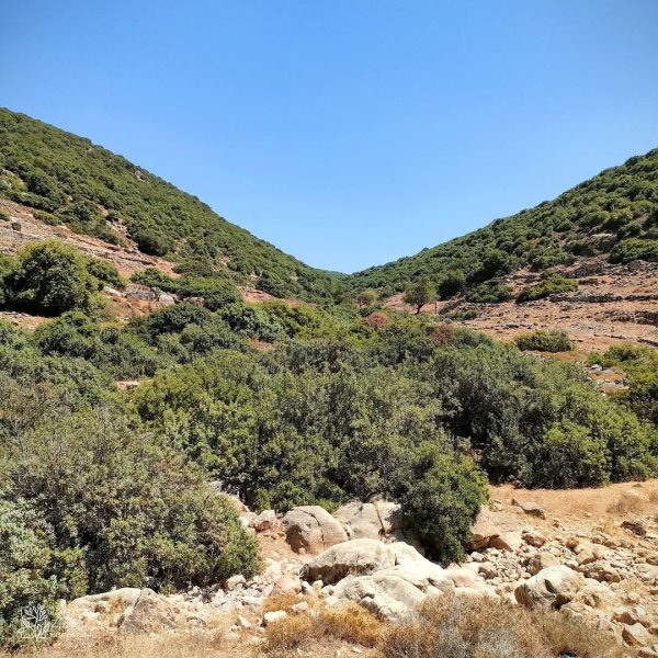  | موسوعة القرى الفلسطينية