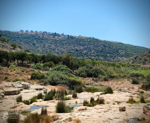  | موسوعة القرى الفلسطينية