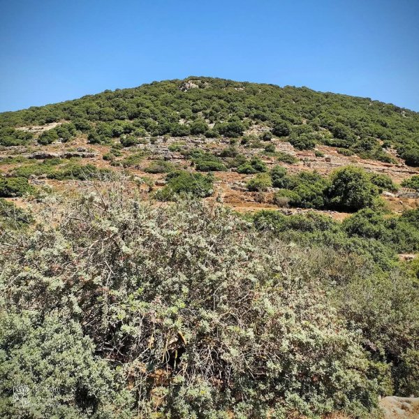  | موسوعة القرى الفلسطينية