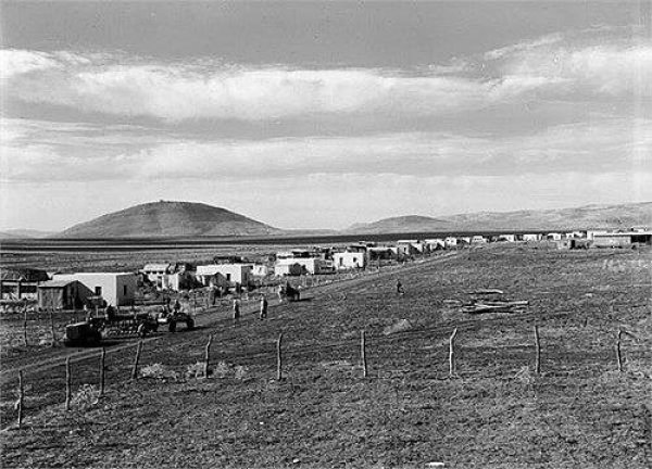 صورة نادرة من موشاف شارونا الذي أنشأ على اراضي قرية سارونا العربية، الصورة تعود لعام 1947