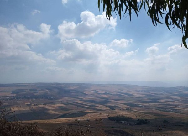 صور حديثة من مستعمرة سارونا المقامة على أراضي قرية سارونا المهجرة