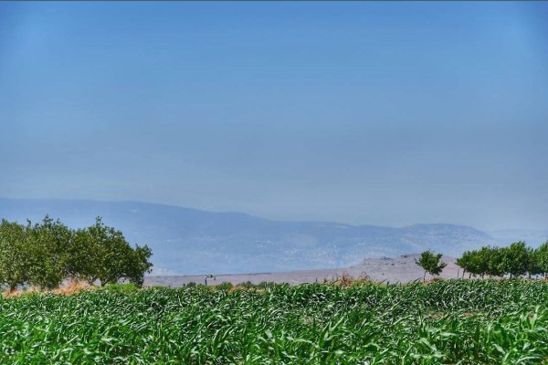 صور حديثة من مستعمرة سارونا المقامة على أراضي قرية سارونا المهجرة