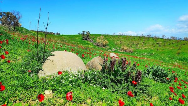  | موسوعة القرى الفلسطينية