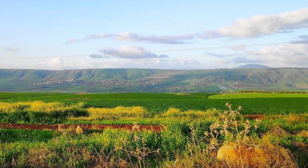  | موسوعة القرى الفلسطينية