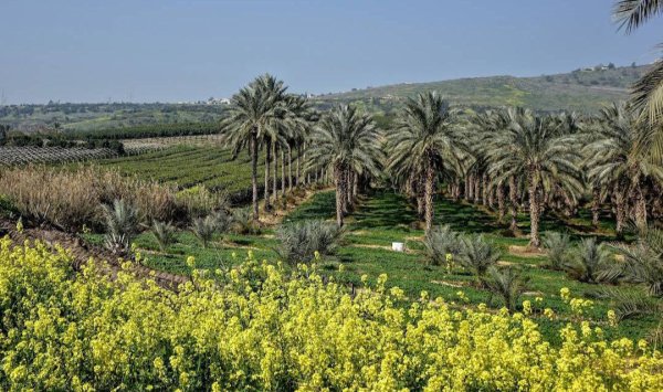  | موسوعة القرى الفلسطينية