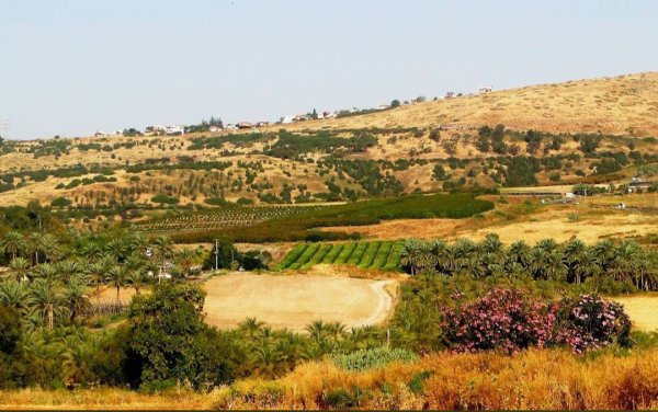  | موسوعة القرى الفلسطينية