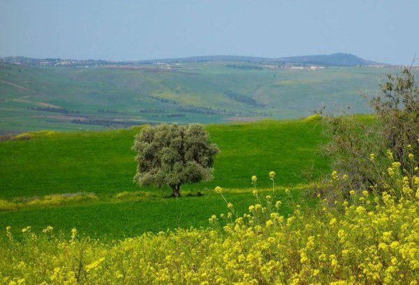  | موسوعة القرى الفلسطينية
