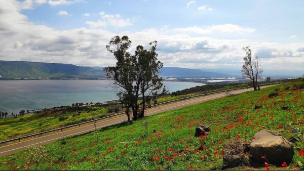  | موسوعة القرى الفلسطينية