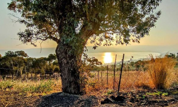  | موسوعة القرى الفلسطينية