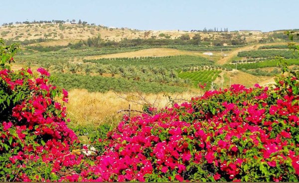  | موسوعة القرى الفلسطينية