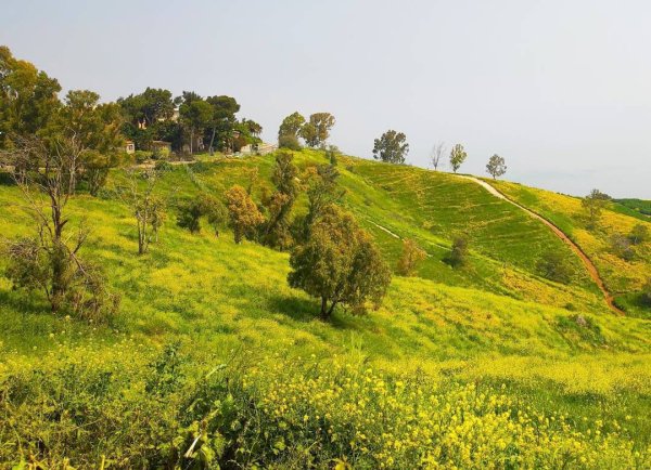  | موسوعة القرى الفلسطينية