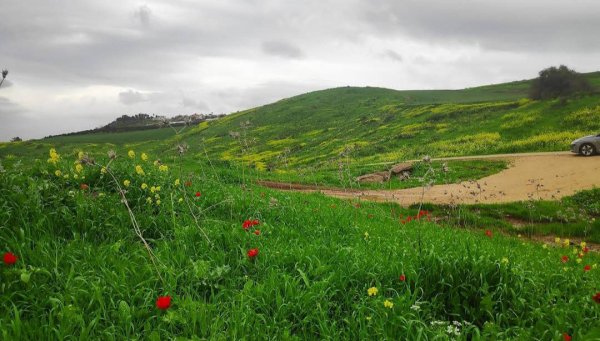  | موسوعة القرى الفلسطينية