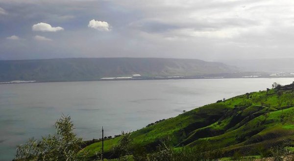  | موسوعة القرى الفلسطينية