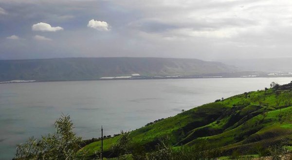  | موسوعة القرى الفلسطينية