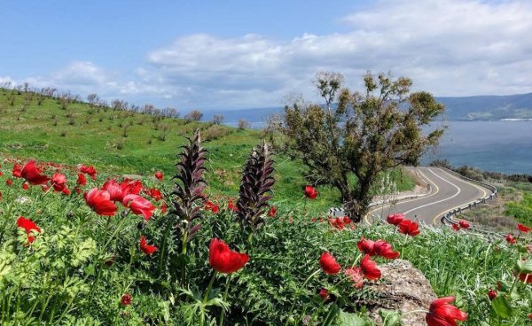  | موسوعة القرى الفلسطينية