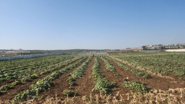  | موسوعة القرى الفلسطينية