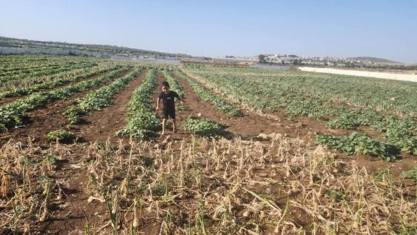  | موسوعة القرى الفلسطينية