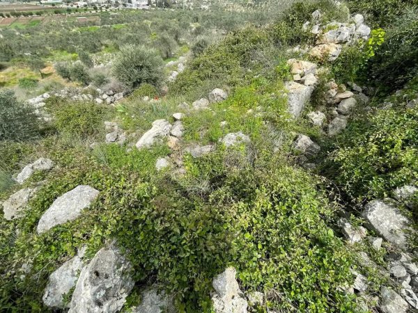  | موسوعة القرى الفلسطينية