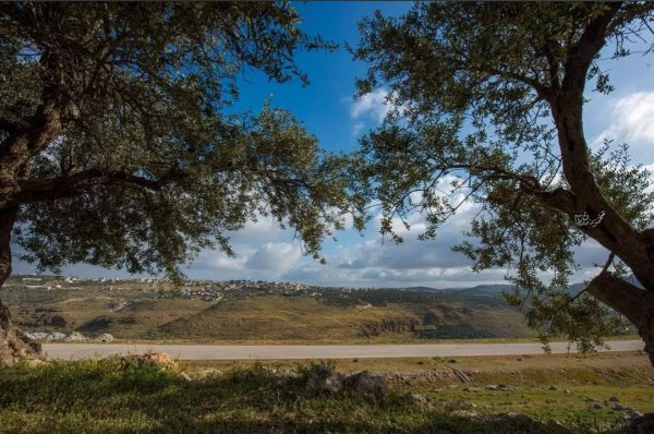  | موسوعة القرى الفلسطينية