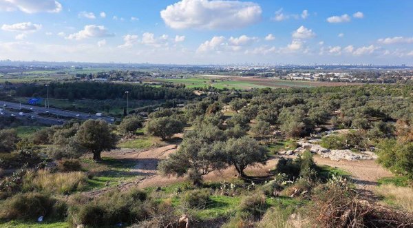  | موسوعة القرى الفلسطينية