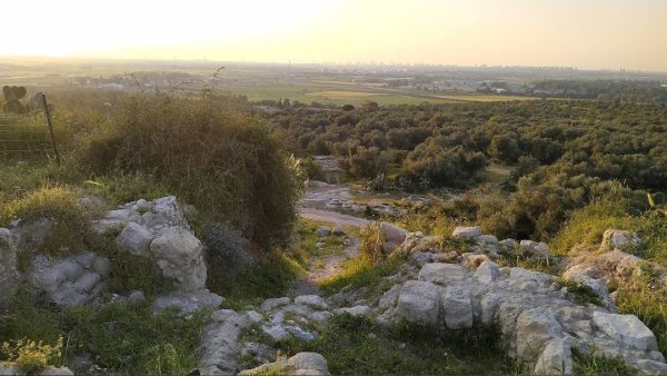  | موسوعة القرى الفلسطينية