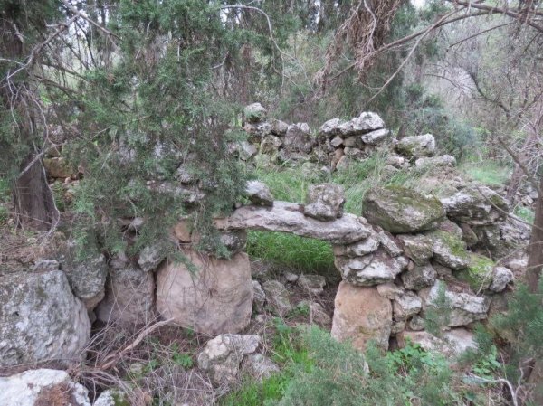  | موسوعة القرى الفلسطينية