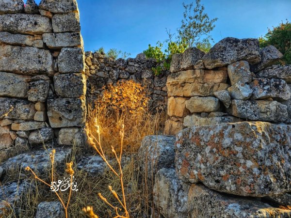  | موسوعة القرى الفلسطينية