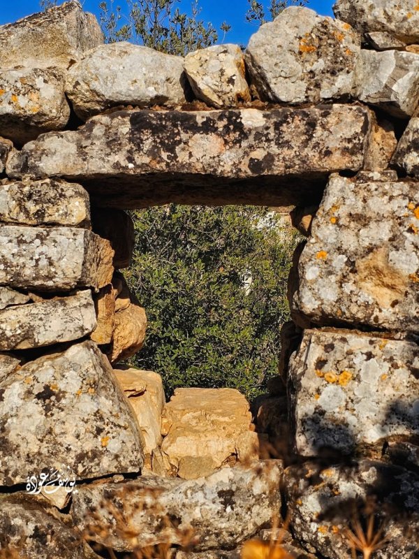  | موسوعة القرى الفلسطينية