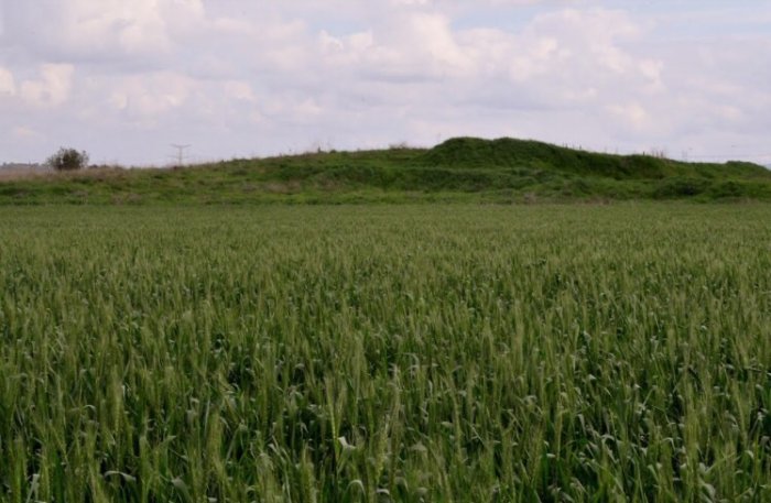 جِلْيَا  | موسوعة القرى الفلسطينية