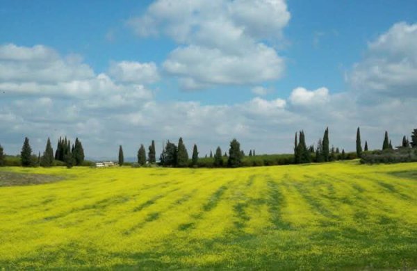 صور من أراضي قرية الخيمة المهجرة، نقلاً عن موقع فلسطين في الذاكرة