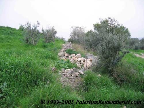 إذْنِبِّه / إدنبه  | موسوعة القرى الفلسطينية