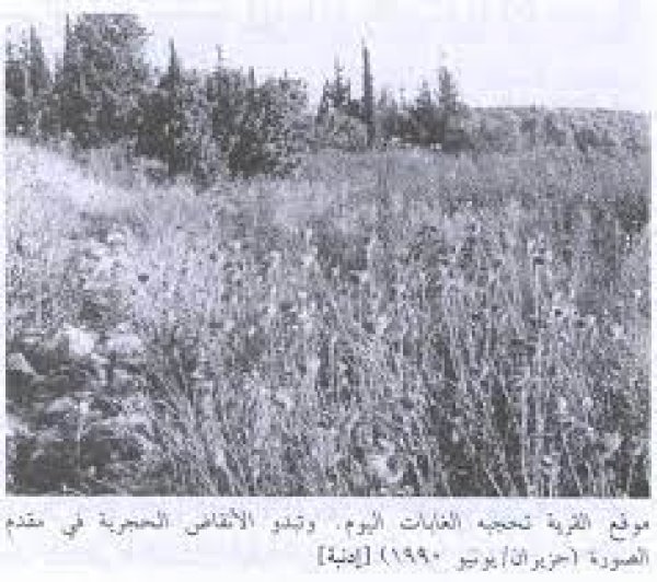  | موسوعة القرى الفلسطينية