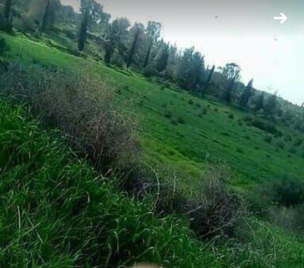  | موسوعة القرى الفلسطينية