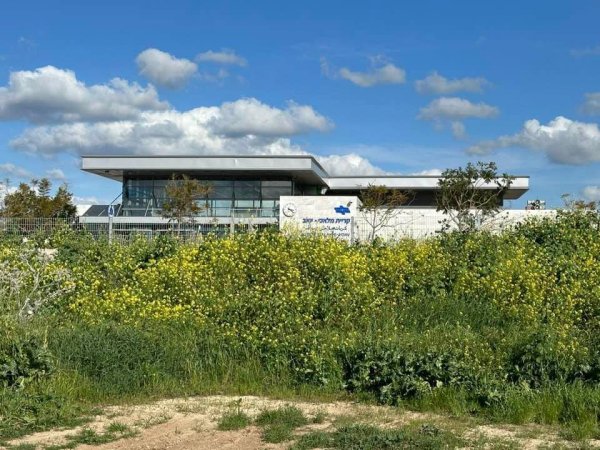 قرية التينة / الرملة