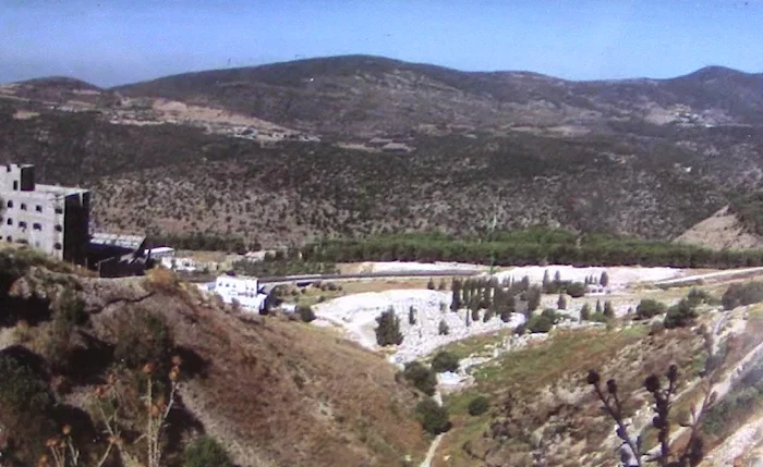 السموعي المهجرة: تواصل الداخل والخارج..وتوق للعودة  | موسوعة القرى الفلسطينية