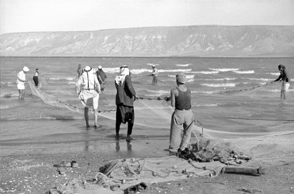  | موسوعة القرى الفلسطينية