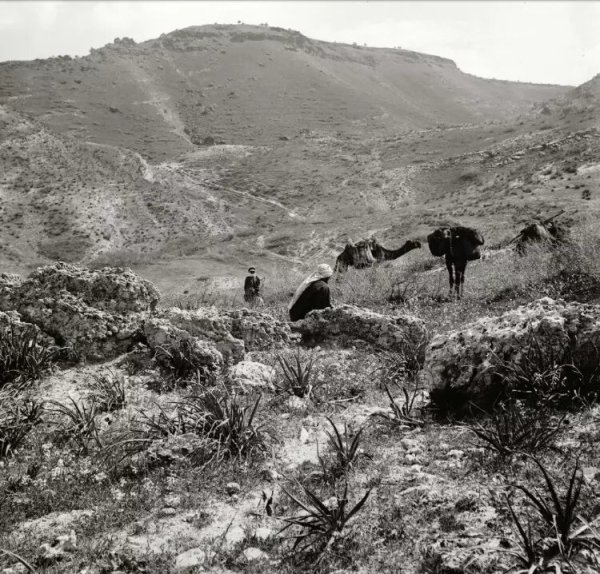  | موسوعة القرى الفلسطينية