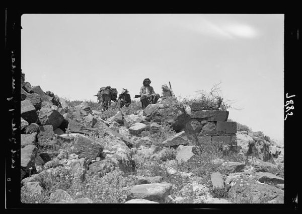  | موسوعة القرى الفلسطينية