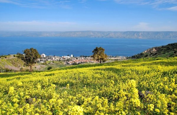  | موسوعة القرى الفلسطينية